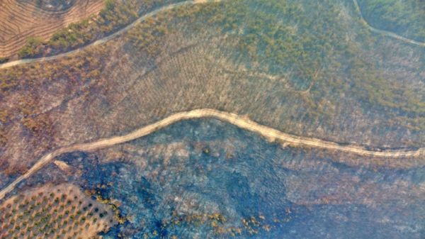 Фото: в Турции бушуют лесные пожары, часть туристов эвакуировали