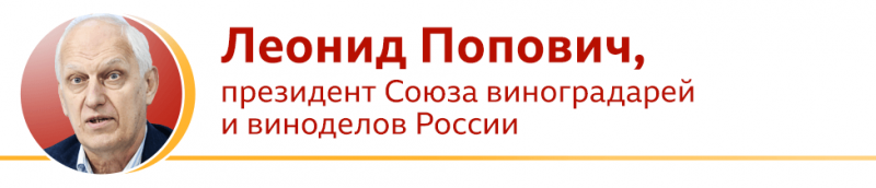 "Не хотите возить - не возите". Россия и Франция спорят о том, как называть шампанское