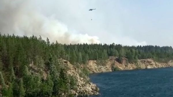 "Огненный шторм". В Челябинской области огонь от лесных пожаров перекинулся на села