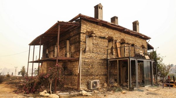 Фото: в Турции бушуют лесные пожары, часть туристов эвакуировали