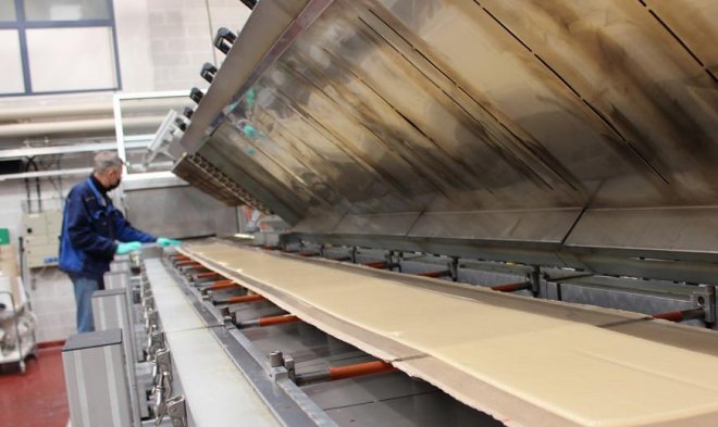 Финские ученые разработали технологию получения кожи из грибов