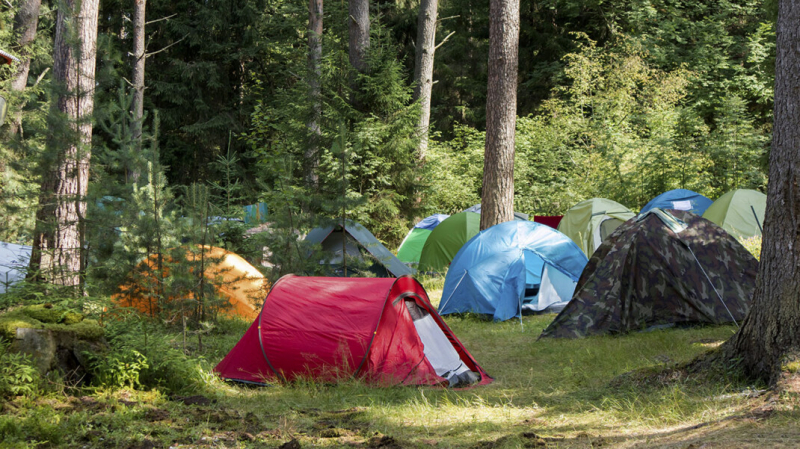 Глава района под Новосибирском назвал стрельбу юнармейцев в детском лагере &laquo;шалостью&raquo;