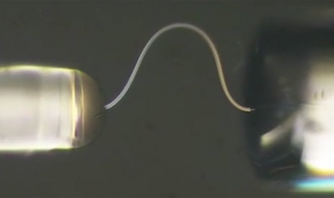 Китайские ученые создали гибкий лед, который можно гнуть и завязывать узлами