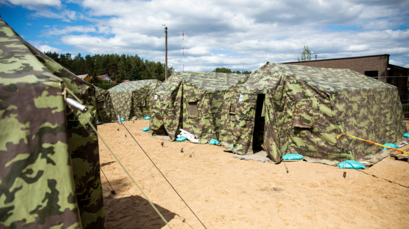 Литва объявила режим чрезвычайного положения из-за наплыва нелегальных мигрантов из Белоруссии