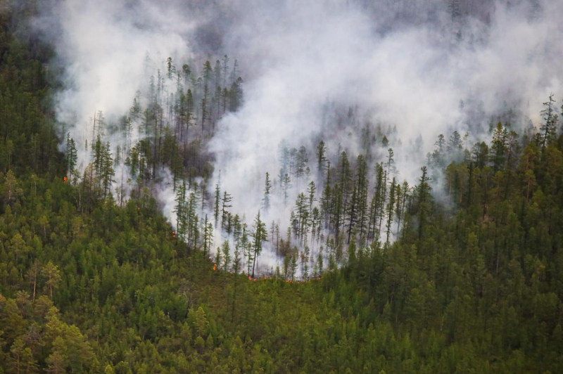 "Мы просто смотрим, как сгорает наше достояние". Горящая Якутия просит Кремль помочь ей потушить лесные пожары