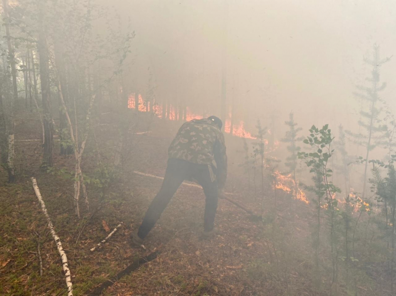 "Мы просто смотрим, как сгорает наше достояние". Горящая Якутия просит Кремль помочь ей потушить лесные пожары