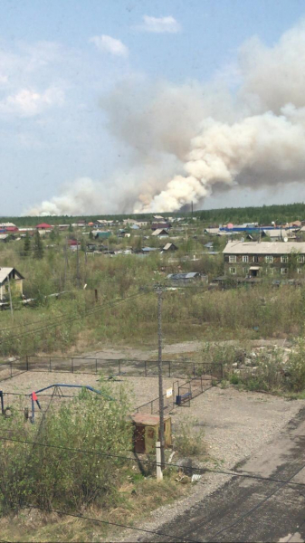 "Мы просто смотрим, как сгорает наше достояние". Горящая Якутия просит Кремль помочь ей потушить лесные пожары