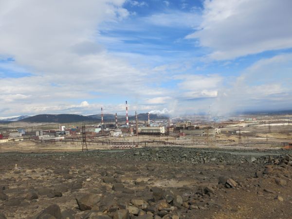 Найдены виды организмов, первыми заселяющие техногенные пустоши Арктики