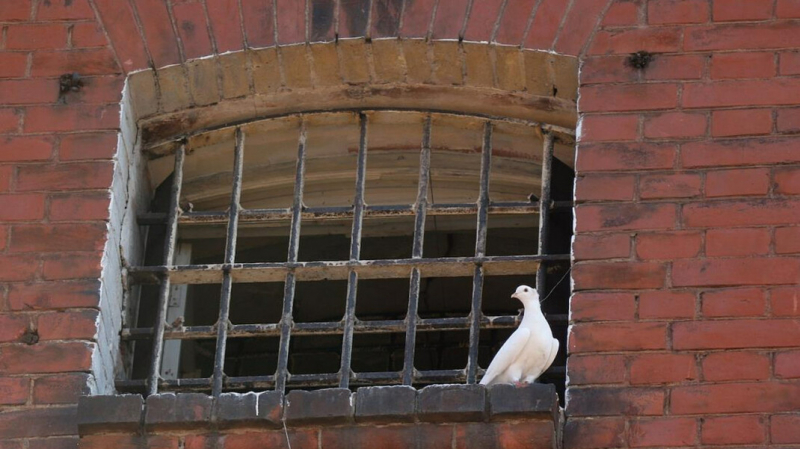 Правозащитники рассказали о бунте в петербургском СИЗО. ФСИН объясняла шум «эмоциями» из-за Евро