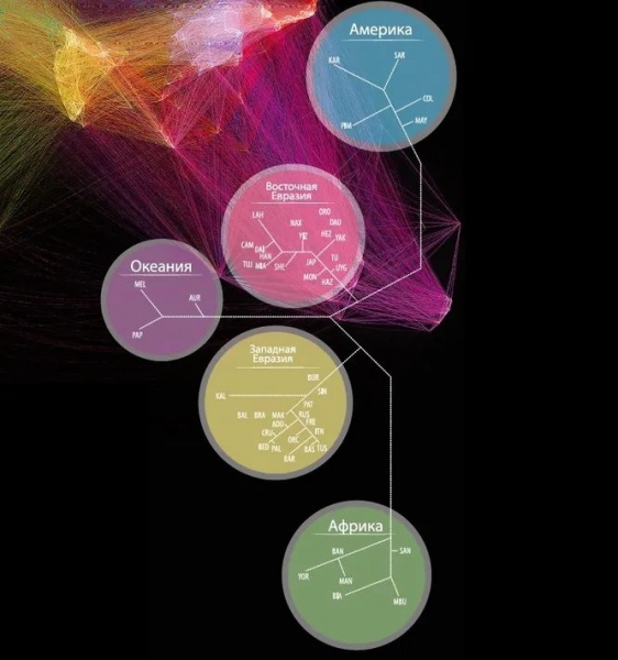 Существуют ли расы в биологическом смысле