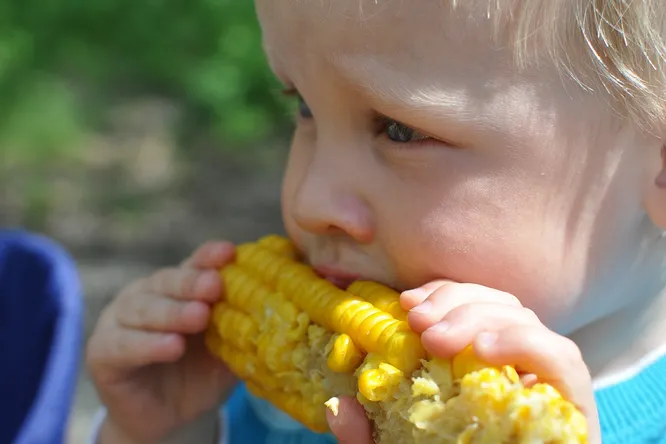Ученые обнаружили связь между потреблением экологически чистых продуктов и повышенным интеллектом у маленьких детей