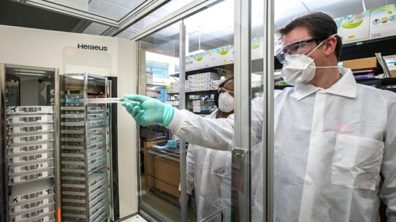 ВОЗ признала существование &laquo;российского штамма&raquo; коронавируса и начала за ним следить