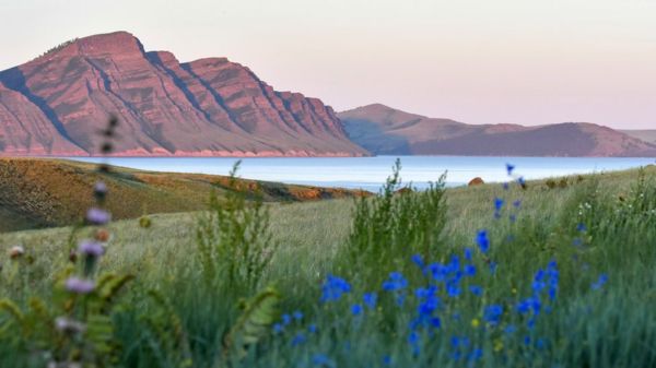 В Хакасии отсидевший 18 лет убил семью из пяти человек