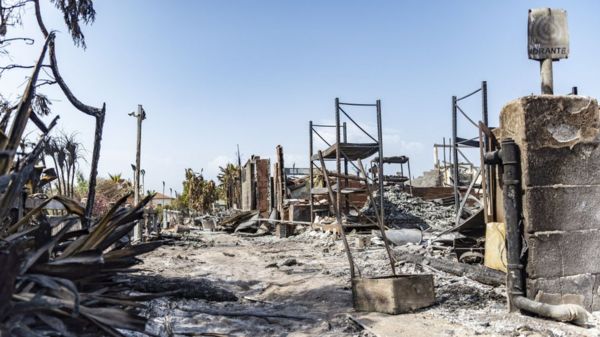 Леса горят, как спички. Аномальная жара на юге Европы создала идеальные условия для пожаров