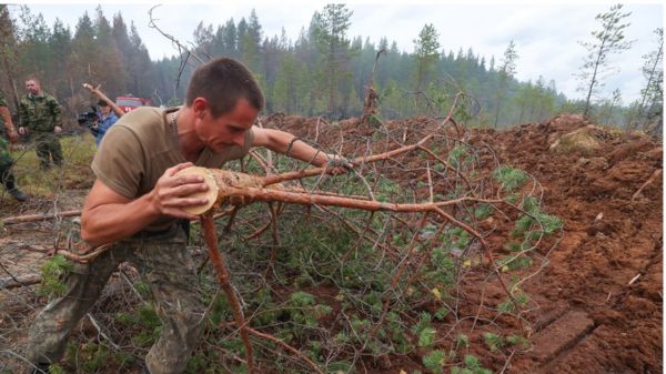 Сезон лесных пожаров в России: новые режимы ЧС, правительству предложили привлечь военных
