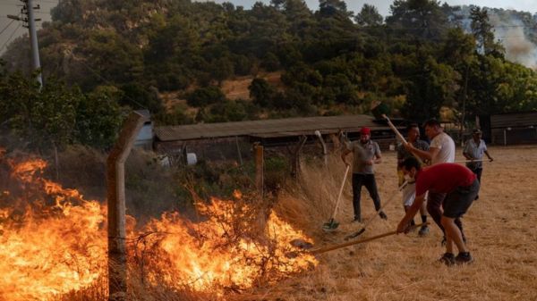 Леса горят, как спички. Аномальная жара на юге Европы создала идеальные условия для пожаров