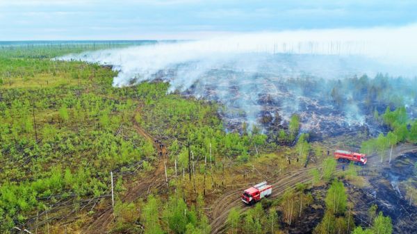 Сезон лесных пожаров в России: новые режимы ЧС, правительству предложили привлечь военных