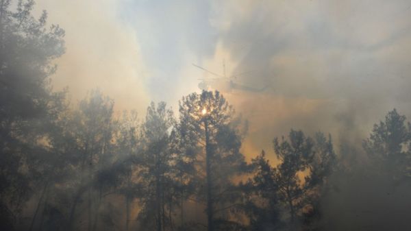 Леса горят, как спички. Аномальная жара на юге Европы создала идеальные условия для пожаров