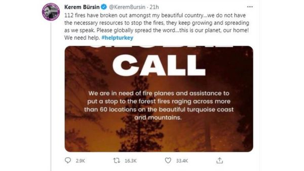 Леса горят, как спички. Аномальная жара на юге Европы создала идеальные условия для пожаров