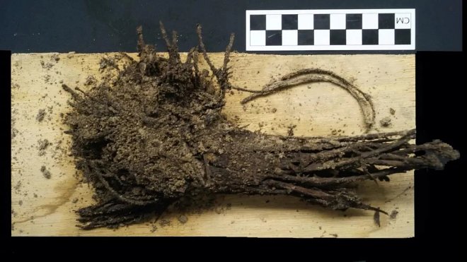 Под мексиканской пирамидой найдено сохранившееся подношение Богу-Змею 2000-летней давности 