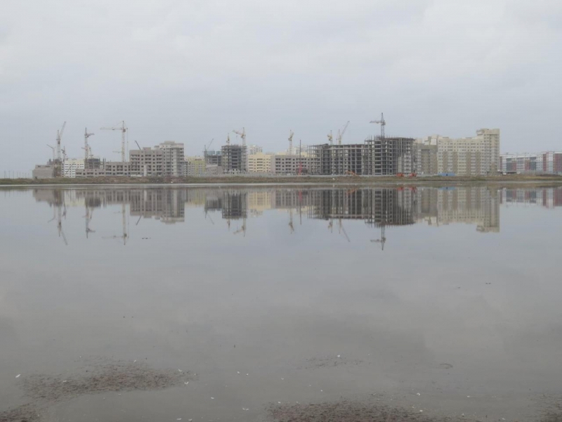 "Все засыхает, птицы улетают". В Нур-Султане экозащитники обвиняют чиновников в уничтожении озер