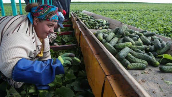 Россия и Беларусь договорились об интеграции. Это всерьез?