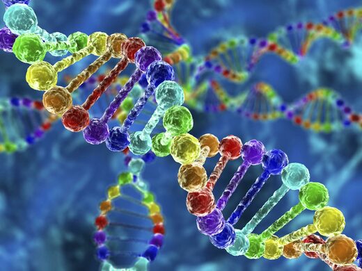 Гены могут реагировать на закодированную информацию в световых сигналах