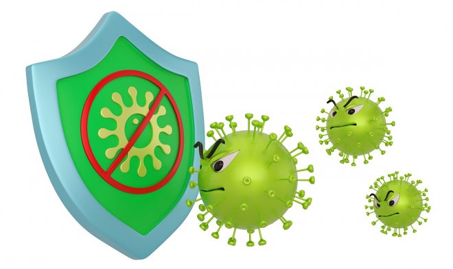 Исследования подтвердили эффективность вакцин против дельта-штамма Covid-19