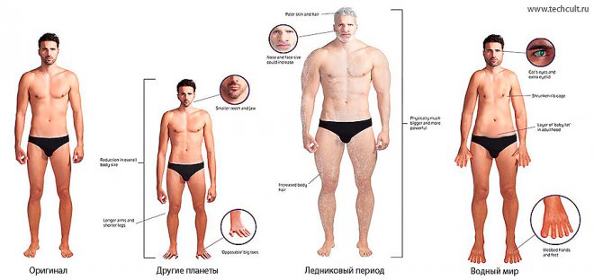 Как эволюционирует человек в&nbsp;случае климатических изменений 