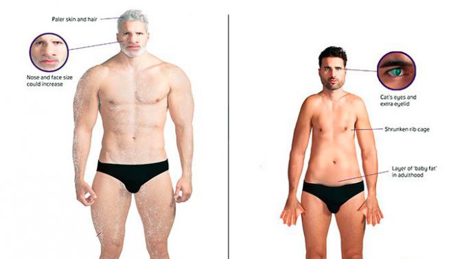 Как эволюционирует человек в&nbsp;случае климатических изменений 