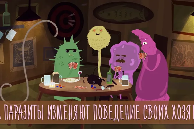 Как паразиты изменяют поведение своих хозяев