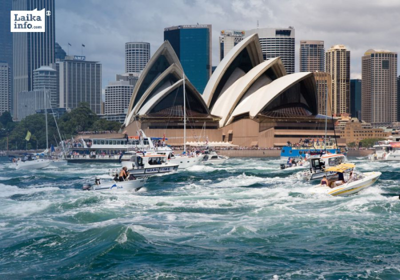 Литва и Австралия не во время поругались с Китаем