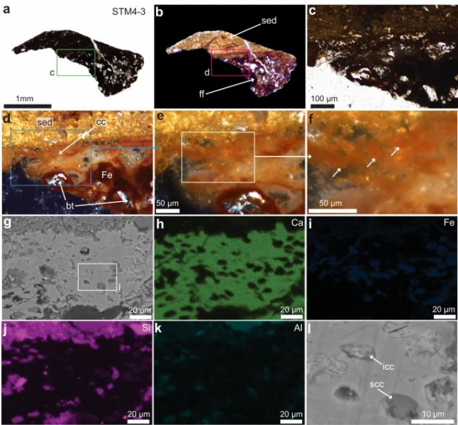 Палеонтологи выделили хорошо сохранившиеся клетки динозавра