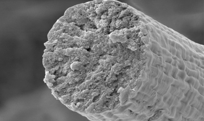Синтетические мышцы позволят создать одежду прочнее кевларовой брони