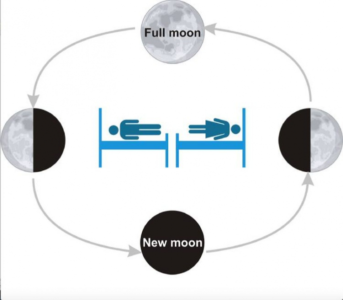 Ученые: Мужчины реагируют на фазы Луны сильнее женщин