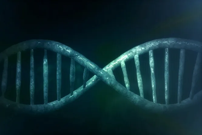 Умерли четыре добровольца, участвовавшие в клинических испытаниях экспериментальной генной терапии