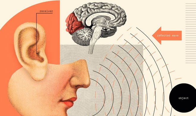 В Японии людей целенаправленно учат шестому чувству &ndash; эхолокации 