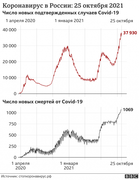 Коронавирус в России: новый максимум заражений и запрет на ночную работу ресторанов