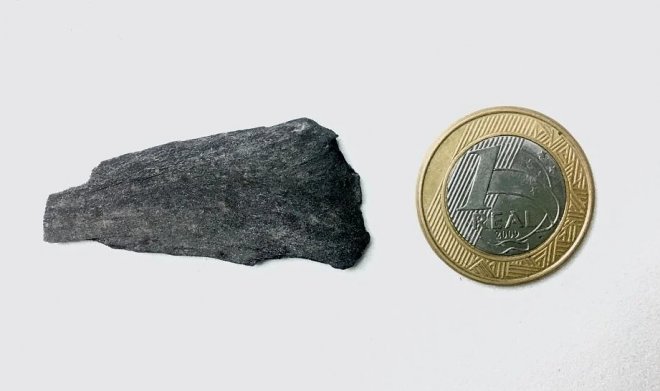 75 миллионов лет назад в Антарктиде бушевали пожары 