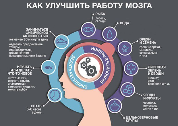 Как включить мозг и заставить его работать в полную силу на 100% 