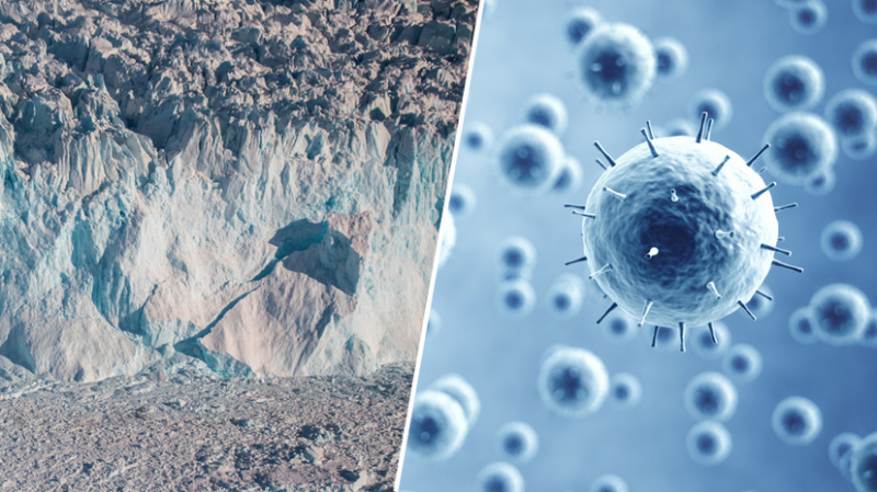 Нобелевский лауреат раасказал о появлении доисторических вирусов из-за изменения климата