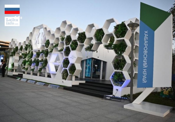 ПАВИЛЬОН-МИКРОСХЕМА ХАБАРОВСКОГО КРАЯ – ЛУЧШИЙ НА ВЭФ-2021