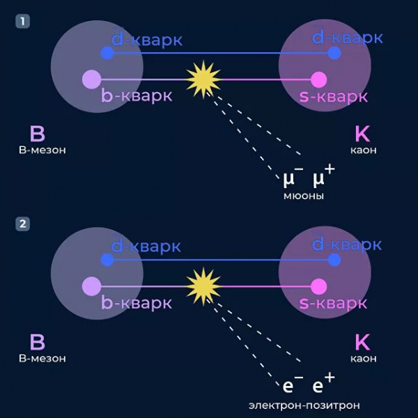 "Перевернет современную физику". Что увидели на Большом адронном коллайдере