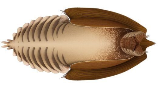 Разумный замысел: ученые бросают очередной вызов традиционному дарвинизму