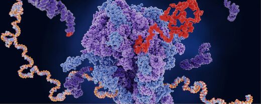 Анализ 250 000 видов выявляет неожиданные изменения в генетическом коде