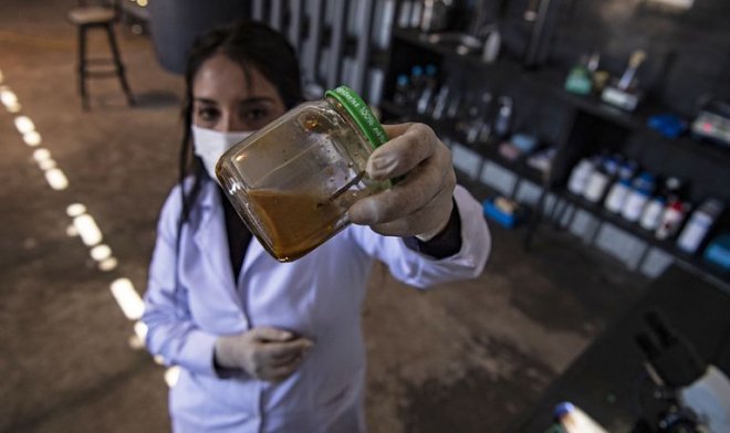 Голодные бактерии Leptospirillum ferriphilum съедают металлический гвоздь за три дня