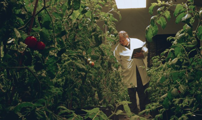 Компания Heinz изготовила кетчуп из&nbsp;&laquo;марсианских&raquo; томатов 