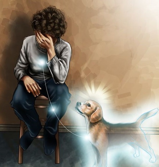 Наши электромагнитные поля необычным образом связаны со всеми живыми организмами