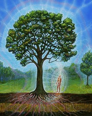 Наши электромагнитные поля необычным образом связаны со всеми живыми организмами