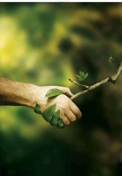 Наши электромагнитные поля необычным образом связаны со всеми живыми организмами